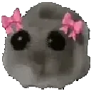 hamstercute