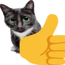 Thumbsupcat