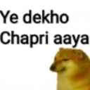 a_chapri_aaya Discord emoji