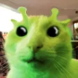 cat_alien