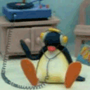 pingumusc