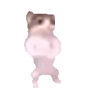 catfist