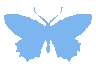 blue_flappingbutterfly