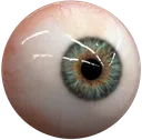 1dg_eye