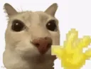 hello