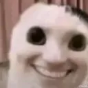 CatSmile