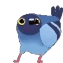 pigeonplspigeondance