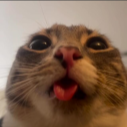 :billu:
