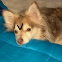 GoodBoy Discord sticker from Sunflower's Basement