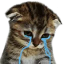 SadCat
