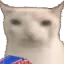 RufflesCat