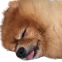 tired