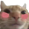 catblush