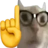 catnerd