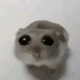 ibeg