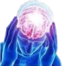 bigbrain