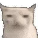 catdisblink