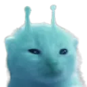 blorp