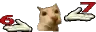 67
