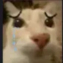 tonotocry