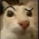 tonotohuh