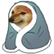doge_cozy_cheems