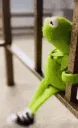 kermitwaiting