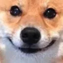 <:emoji_48:1467602720188928237>