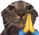 VexxPrayge Discord Emoji - Talk Pakistan