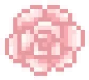 :pink_rose: