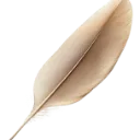 e_feather