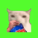 cat_chips