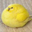 Screenshot_20260201225400