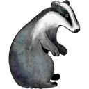 badger