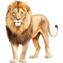 lion