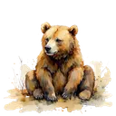bear