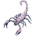 scorpion
