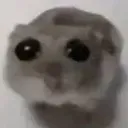 1224906611857035467