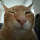 buh
