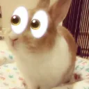 xdf