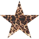 cc4a519913c12430b8459d15f6613a9c