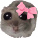 :coquette: