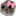 :coquette:
