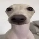 emoji_3