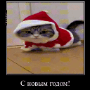 :Server_Huina: