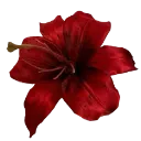 Icon_RedFlower