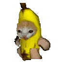 gato_banana