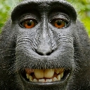 bandar custom emote - Gaming Grid