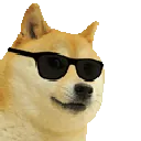 CoolDoge