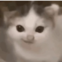 Screenshot20260203002830 Discord sticker from Evergreen